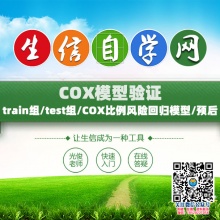 COX模型验证视频(train组/test组/COX比例风险...