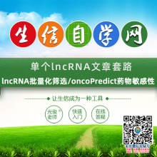 单个lncRNA文章套路(lncRNA批量化筛选/oncoP...