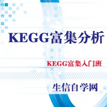 KEGG富集分析通路KEGG柱状图