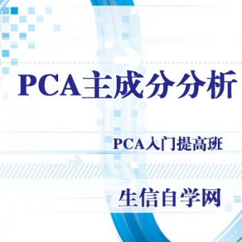 PCA主成分分析