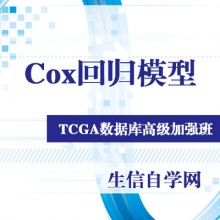 Cox风险回归模型基于TCGA数据库