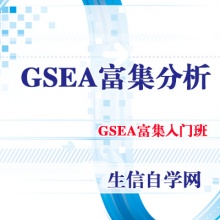 GSEA富集分析GEO芯片gsea软件操作