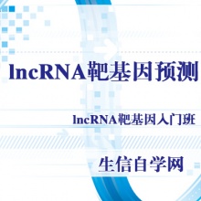 lncRNA靶基因预测lncRNA功能分析