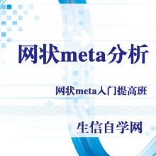 网状meta分析Stata软件R软件