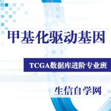 TCGA甲基化驱动基因高级课程