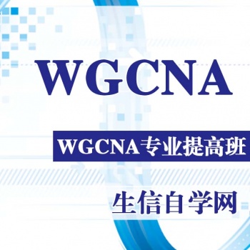 WGCNA分析