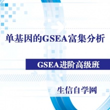 单基因的GSEA富集分析(单个miRNA/GSEA做GO和K...