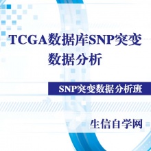 TCGA数据库SNP突变数据分析视频(瀑布图/生存分析/单核...