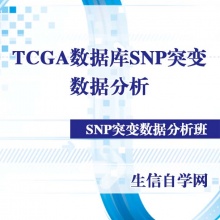 TCGA数据库SNP突变数据分析视频(瀑布图/生存分析/单核苷酸多态性)