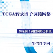 TCGA数据库差异表达分析和转录因子调控网络