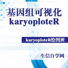 基因组可视化视频(genome/karyoploteR/线性基因组/生物信息学)