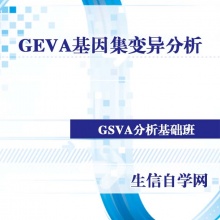 GSVA基因集变异分析