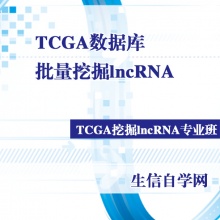 TCGA数据库批量挖掘lncRNA视频(批量生存曲线/长非编...