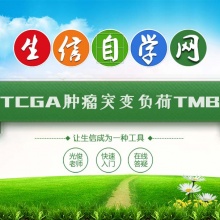 TCGA数据库肿瘤突变负荷视频(TMB/tumor muta...