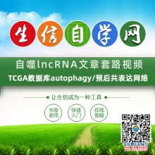 自噬lncRNA生信视频(TCGA数据库autophagy/预后共表达网络)