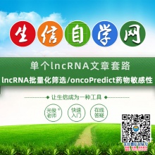 单个lncRNA文章套路(lncRNA批量化筛选/oncoPredict药物敏感性)