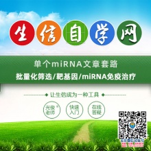 单个miRNA文章套路(批量化筛选/靶基因/miRNA免疫治...