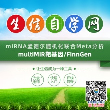 miRNA孟德尔随机化联合Meta分析视频(multiMiR...