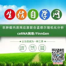 非肿瘤内质网应激联合孟德尔随机化分析视频(ceRNA网络/FinnGen)