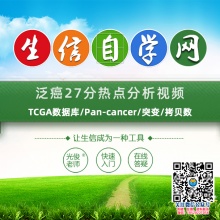 泛癌27分热点分析视频(TCGA数据库/Pan-cancer/突变/拷贝数)