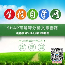 SHAP可解释分析文章套路(机器学习SHAP分析/蜂群图)