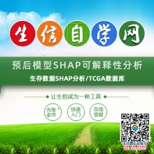 预后模型SHAP可解释性分析视频