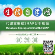 代谢重编程SHAP分析视频(Metabolic Reprogramming/预后SHAP)