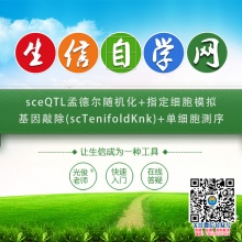 sceQTL孟德尔随机化+指定细胞模拟基因敲除(scTenifoldKnk)+单细胞测序