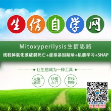 Mitoxyperilysis生信思路(线粒体氧化膜破裂死亡+虚拟基因敲除+机器学习+SHAP)