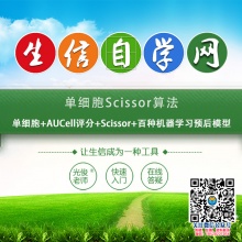 单细胞Scissor算法(单细胞+AUCell评分+Scissor+百种机器学习预后模型)