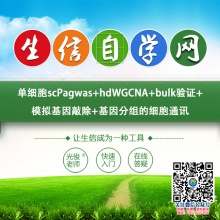 单细胞scPagwas+hdWGCNA+bulk验证+模拟基因敲除+基因分组的细胞通讯