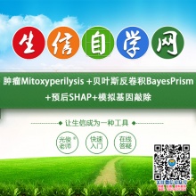 肿瘤Mitoxyperilysis +贝叶斯反卷积BayesPrism+预后SHAP+模拟基因敲除