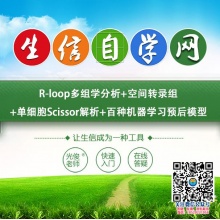 R-loop多组学分析+空间转录组+单细胞Scissor解析+百种机器学习预后模型