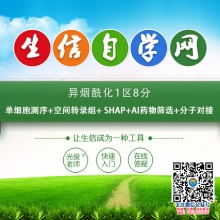 异烟酰化1区8分(单细胞测序+空间转录组+ SHAP+AI药物筛选+分子对接)