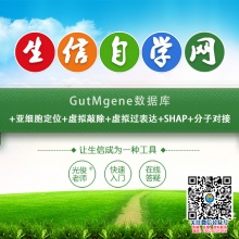 GutMgene数据库+亚细胞定位+虚拟敲除+虚拟过表达+S...