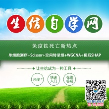 免疫铁死亡新热点(单细胞测序+Scissor+空间转录组+WGCNA+预后SHAP)