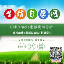 CellOracle虚拟扰动分析 (虚拟敲除+虚拟过表达+机器学习)