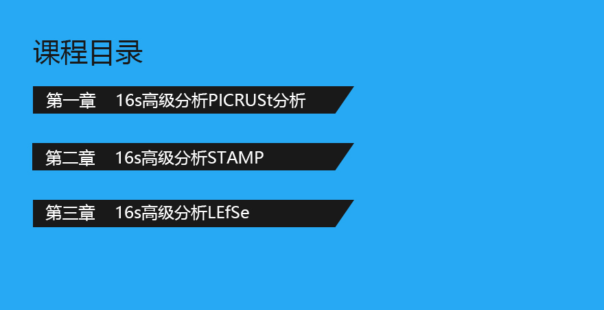 16s高级分析