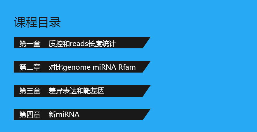 小RNA测序数据分析