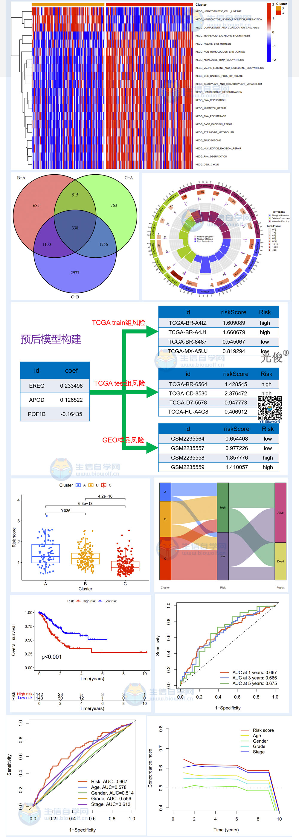 181详情_03.jpg