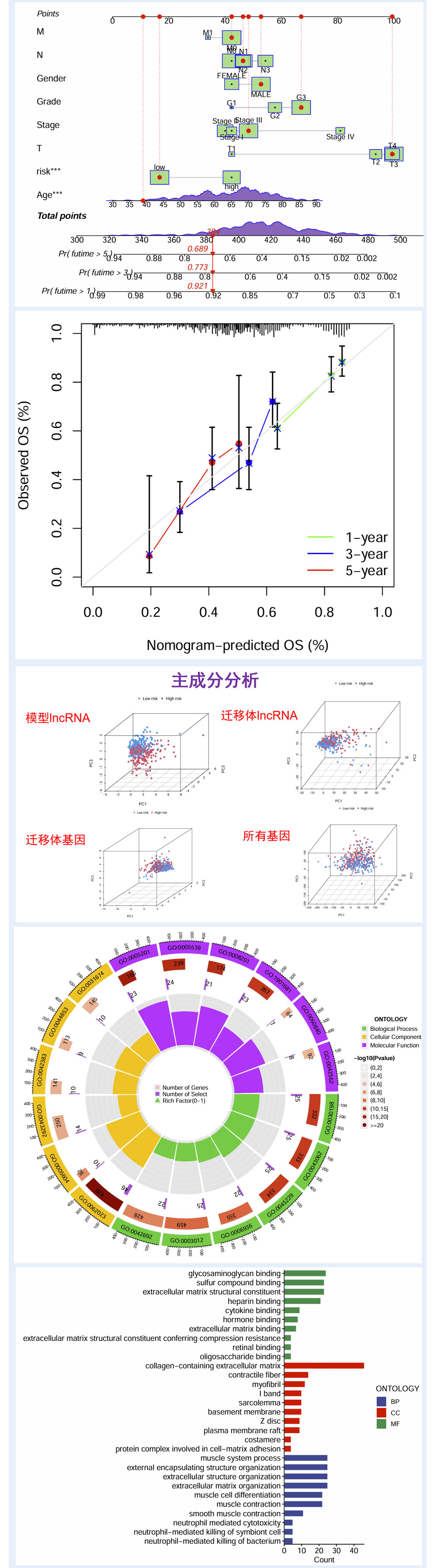 209详情_04.jpg