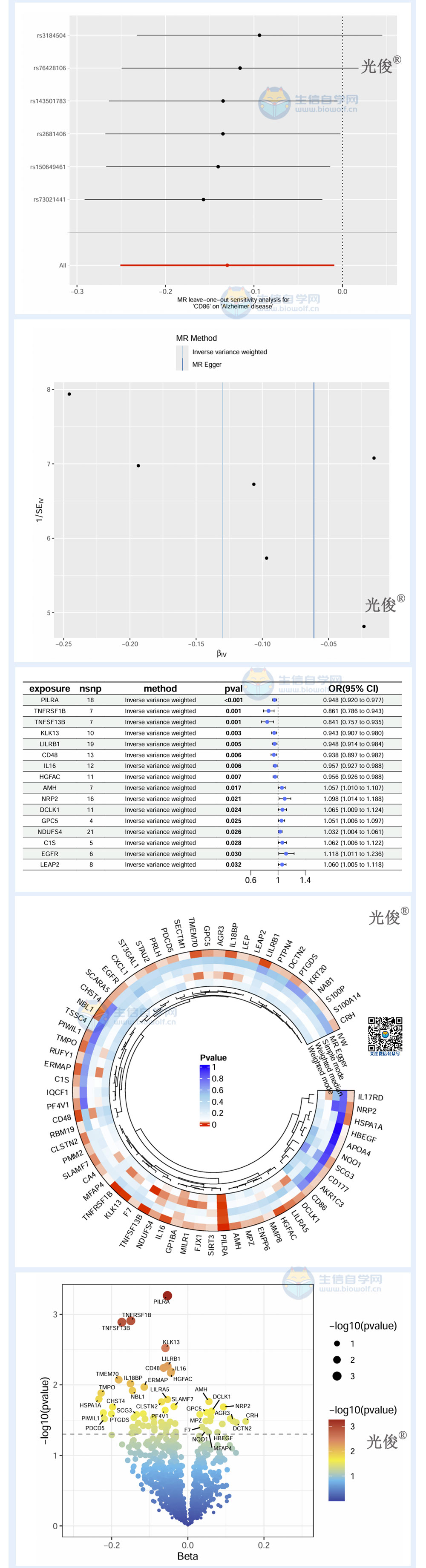 213详情_03.jpg