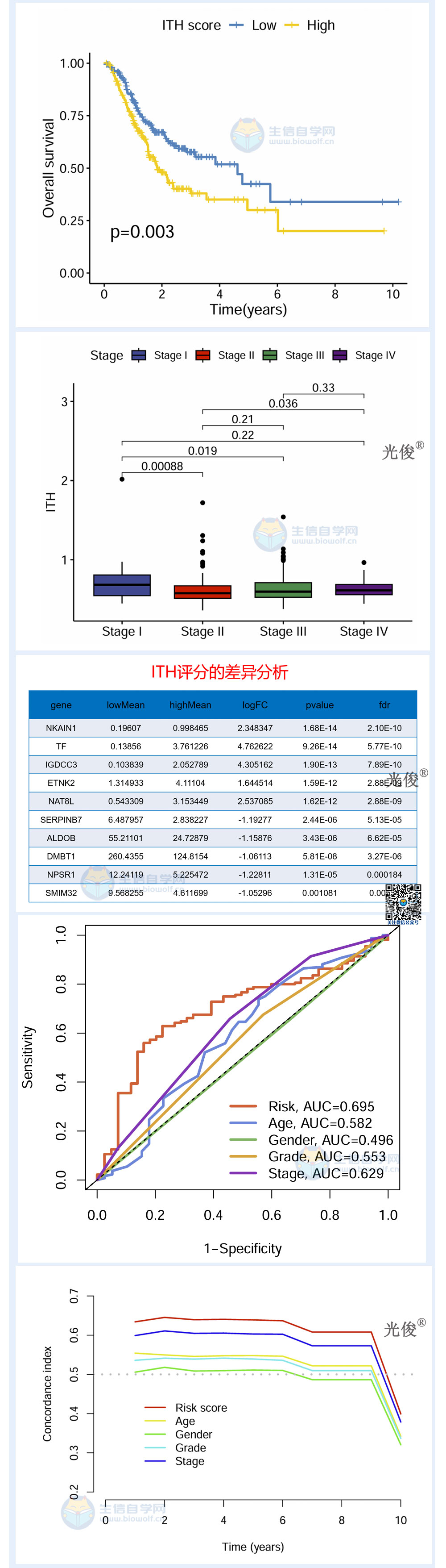 217详情_03.jpg