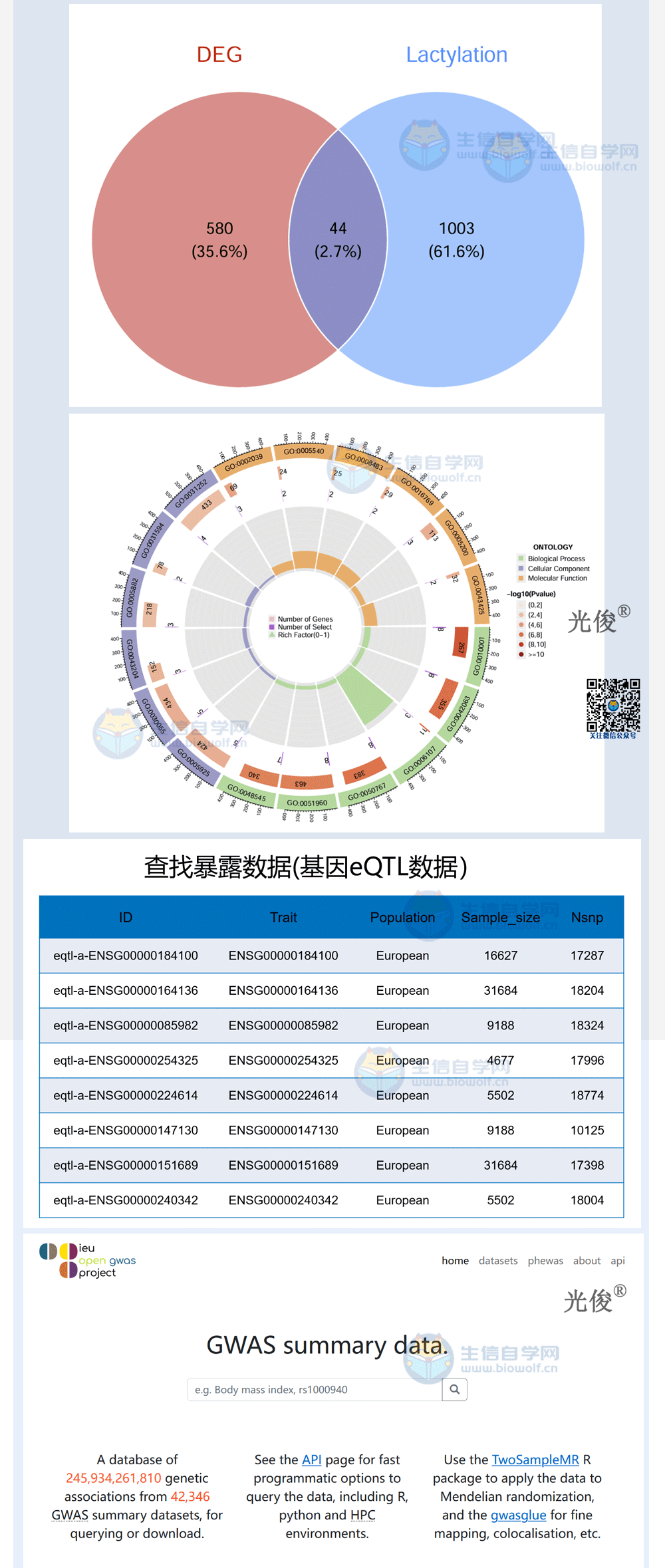 220详情_02.gif