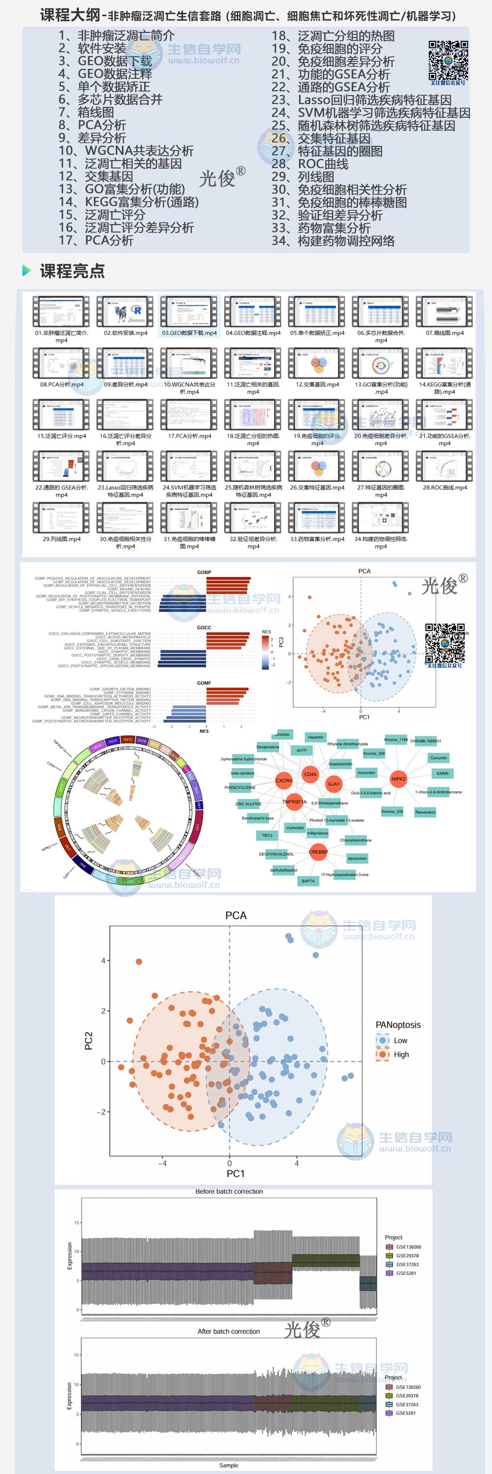 1762300369970187.jpg 241详情_01.jpg