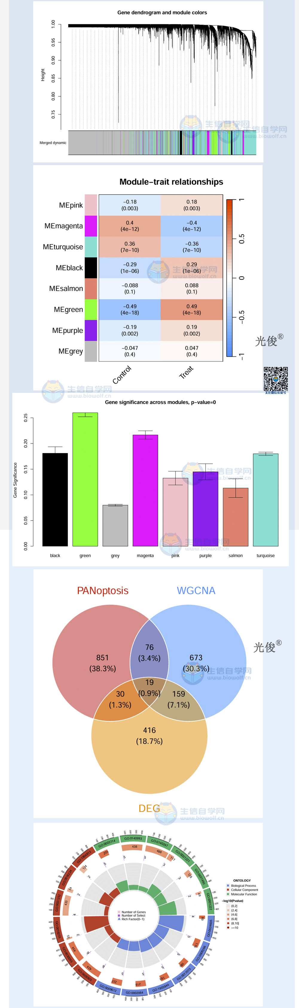 1762300373250281.jpg 241详情_02.jpg