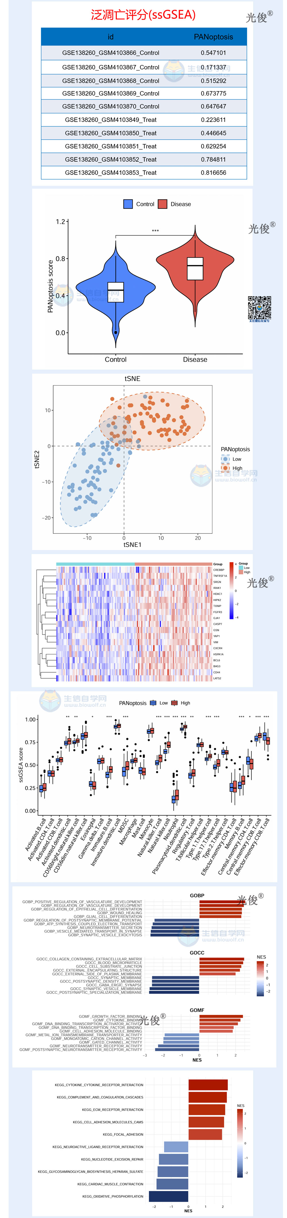 1762300376570654.jpg 241详情_03.jpg