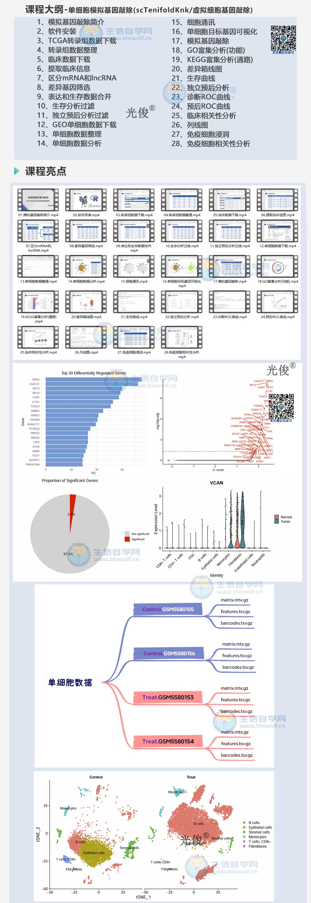 1765842723217936.jpg 245详情_01.jpg