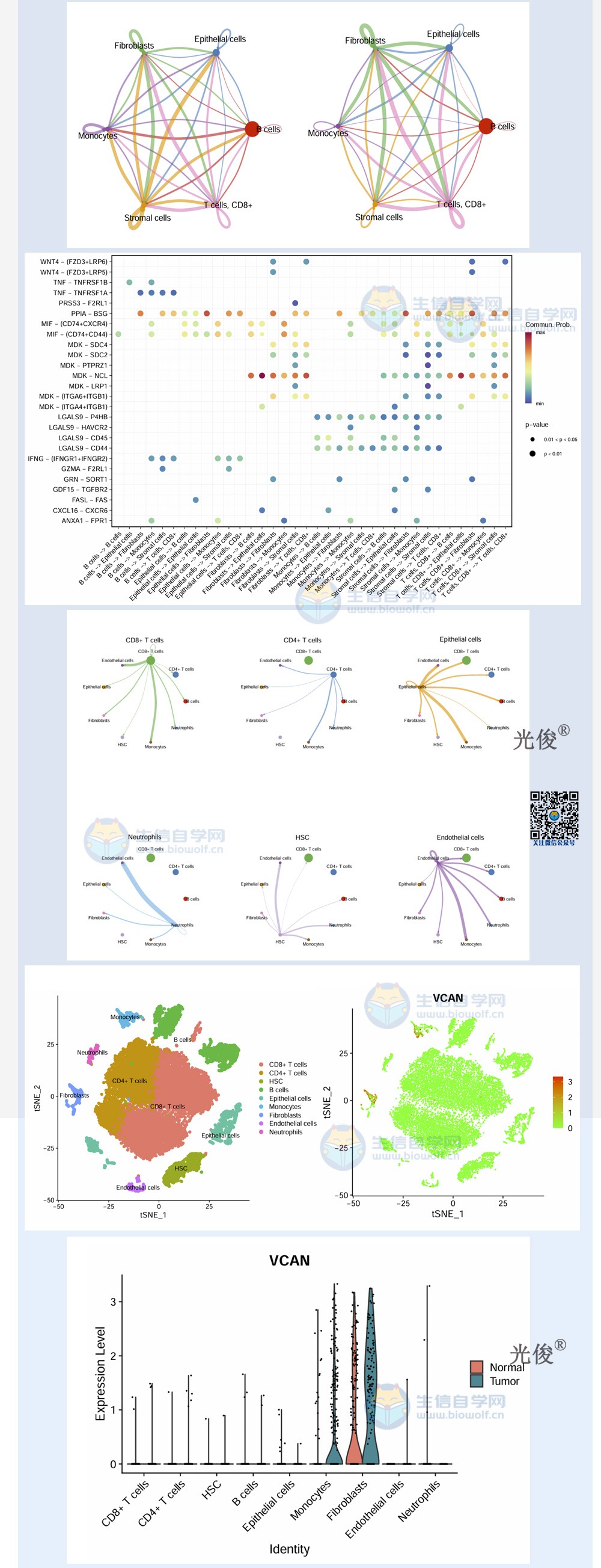 1765842731914076.jpg 245详情_02.jpg