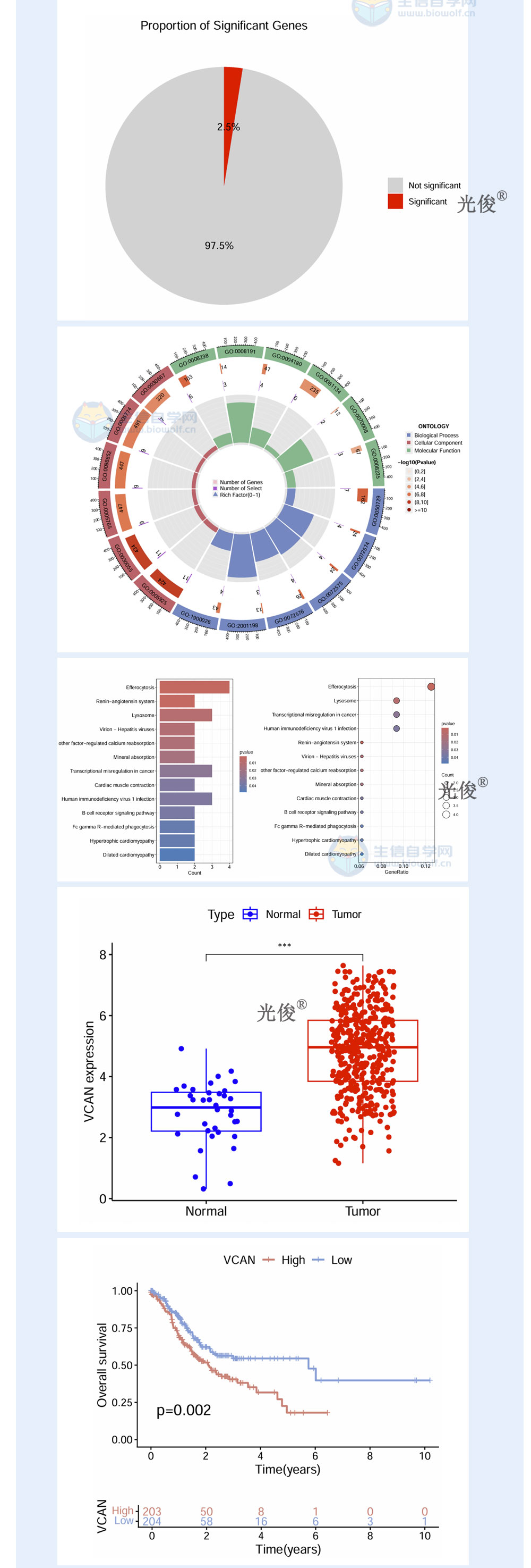 1765842739932724.jpg 245详情_04.jpg